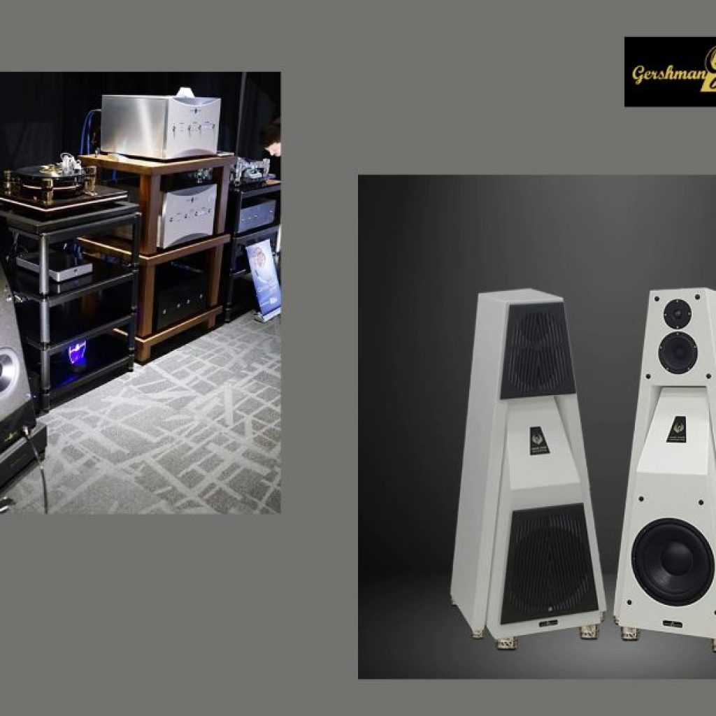 Premium Acoustic Brand Speakers for the USA Audience