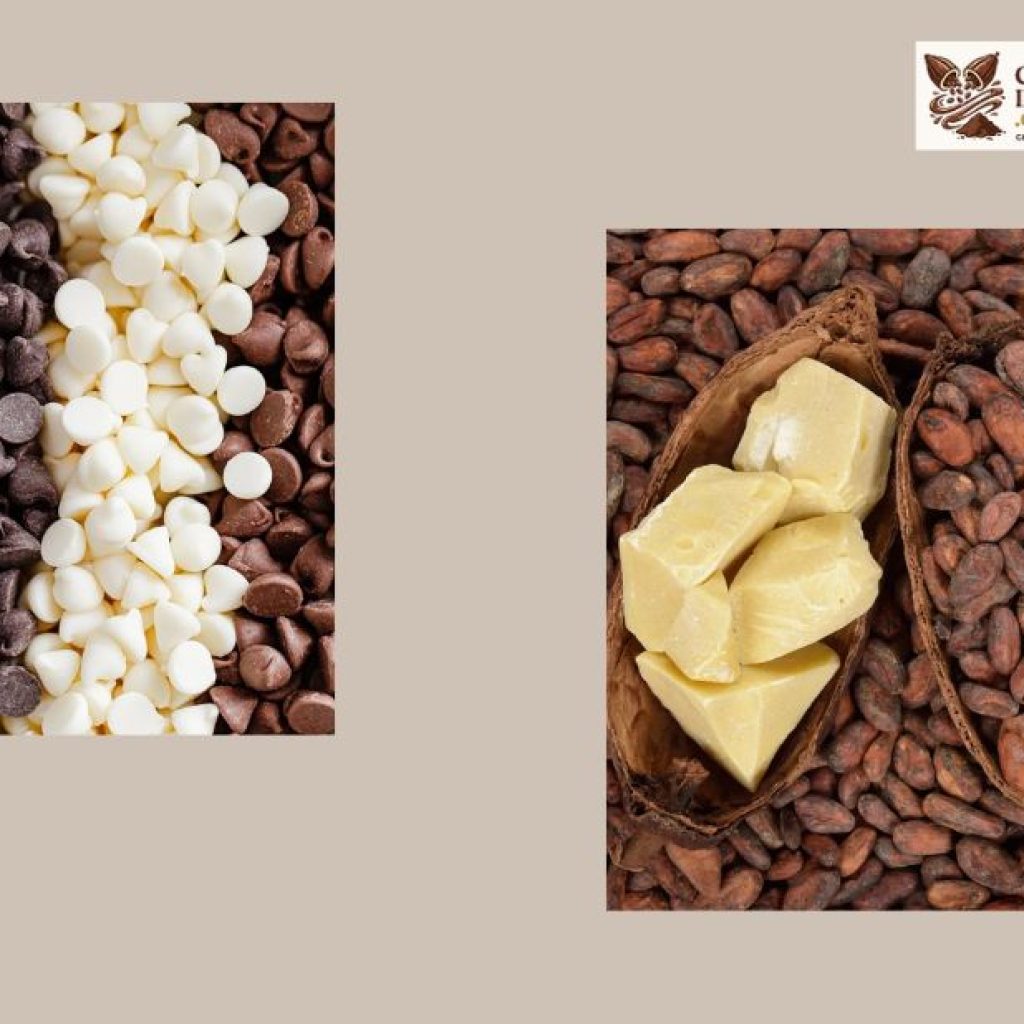 Luxurious Cocoa Components for Superior Chocolate Craft