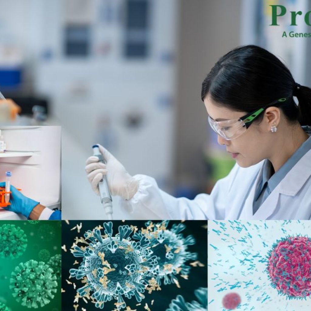 Optimizing Detection: Blocking Steps for Clear Western Blots