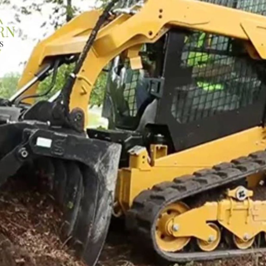 Reliable Tree Removal Services in Dothan, AL – Fast & Safe