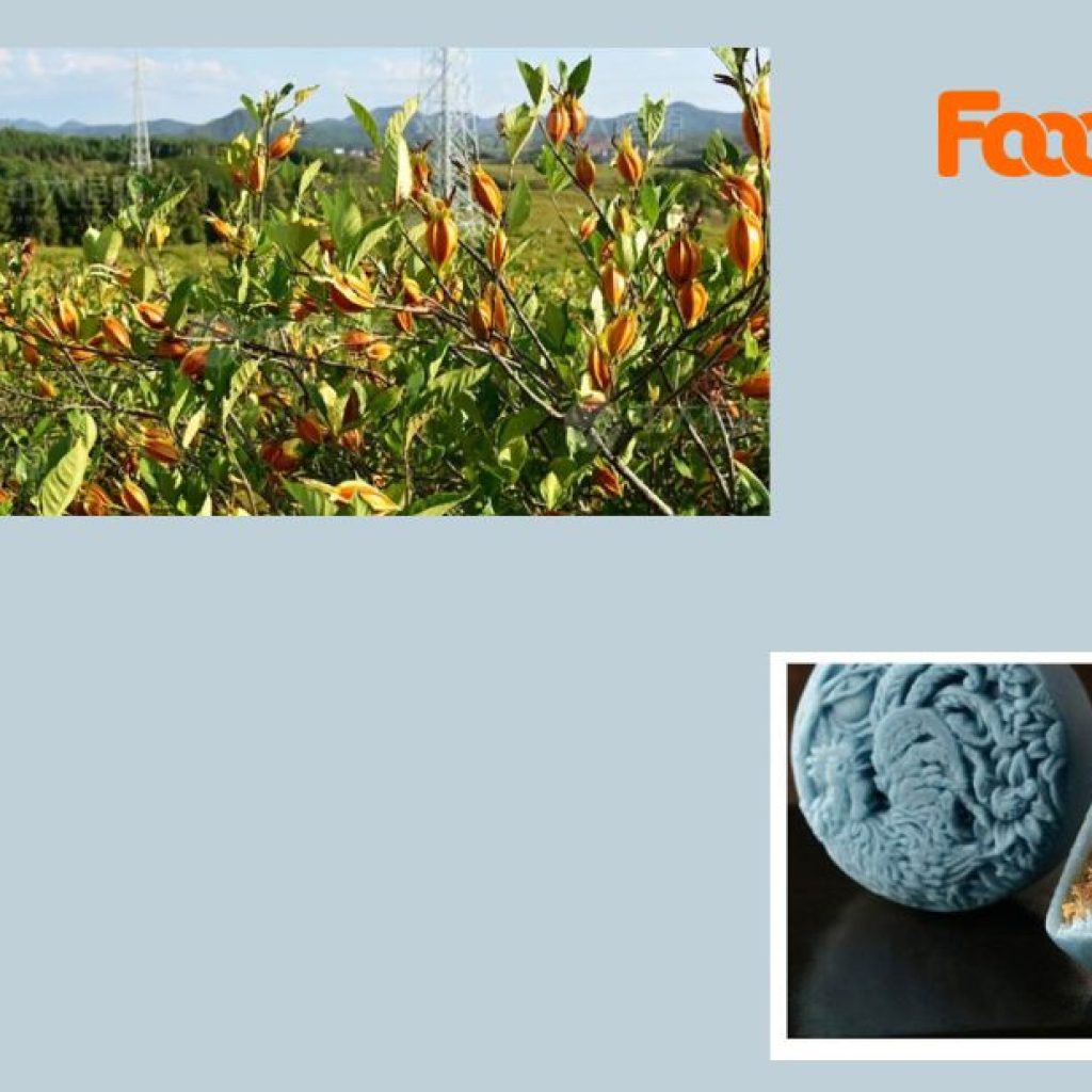 Source High-Quality Annatto Powder For Natural Food Coloring Applications Today