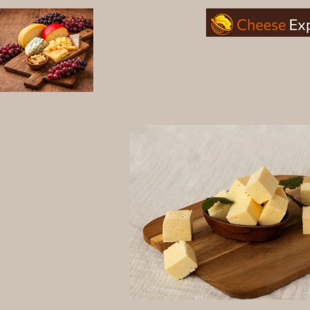 Reliable mozzarella packaging and container solutions for global shipments