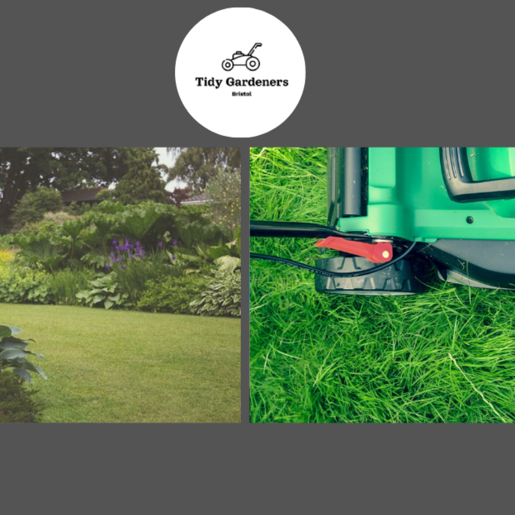 Practical garden care in Bristol that keeps your outdoor space thriving
