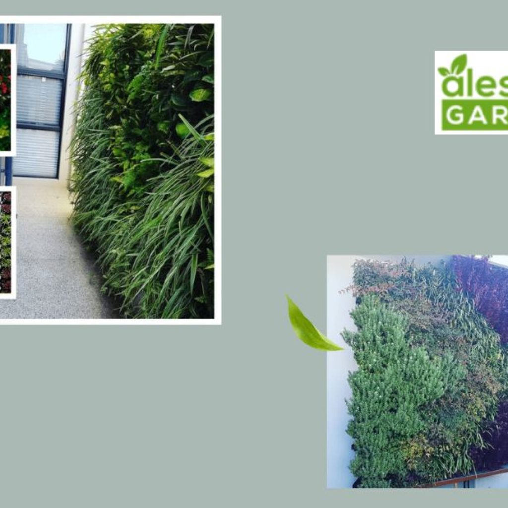 Create stunning outdoor spaces with expert Perth landscapers