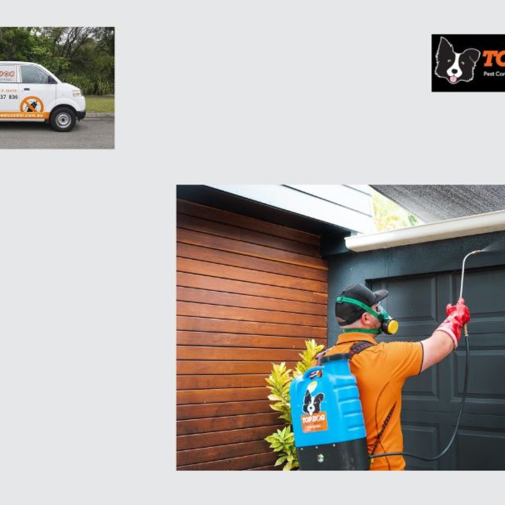 Shield Your Property with a Trusted Gold Coast Inspector