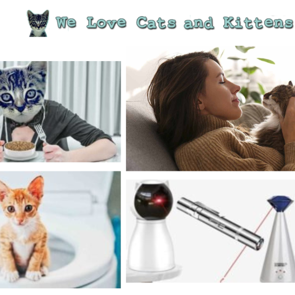 From Tiny Paws to Graceful Growl: Cats in Every Stage