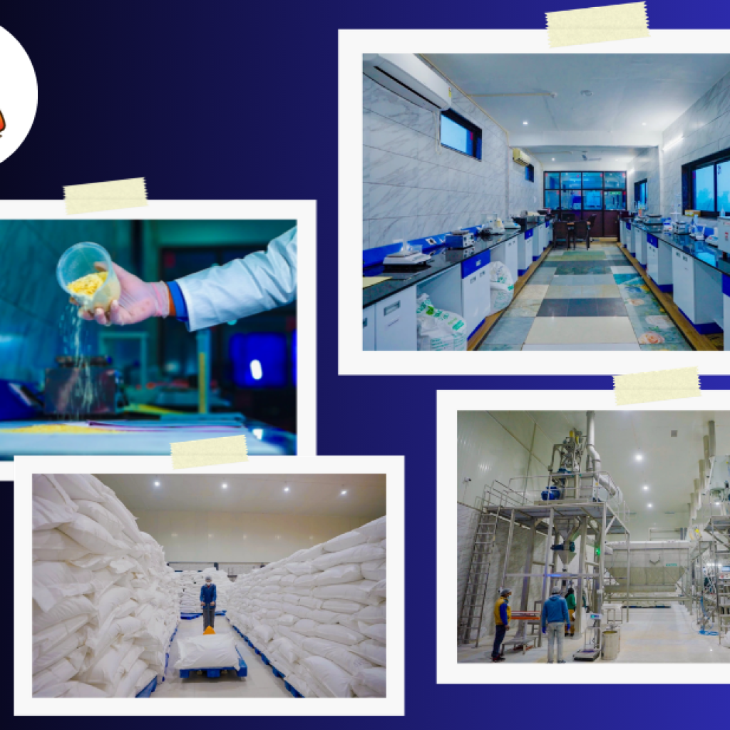 Versatile Potato Flakes in Powder Form for Easy Cooking