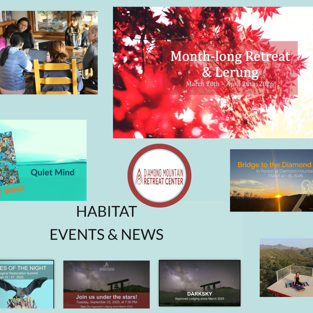 Discover a Transformative Solo Retreat Arizona Experience