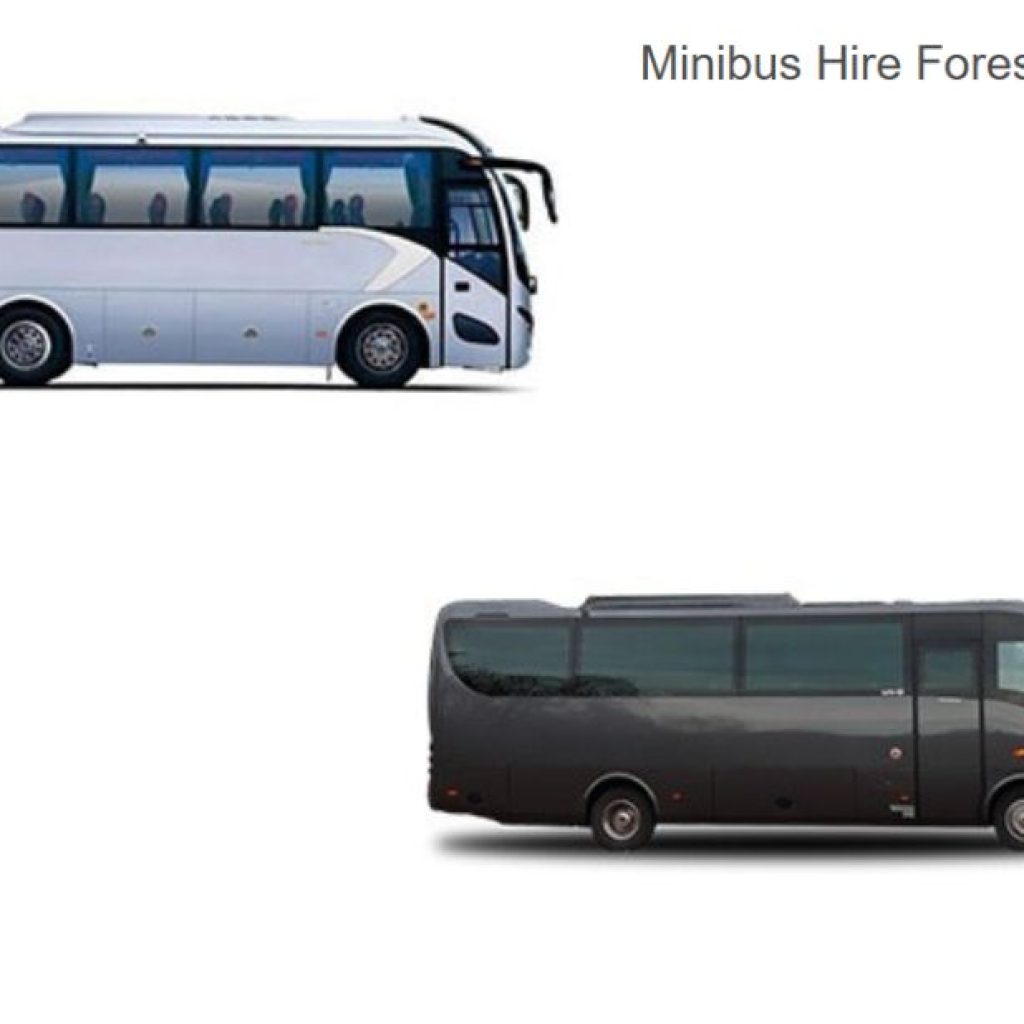 Explore the Forest of Dean in comfort with expert group transport