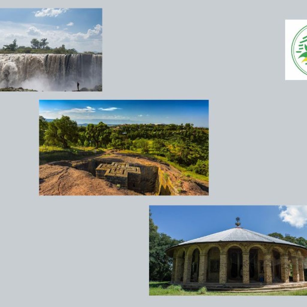 Discover Ethiopia: Small-Group Adventures Shaped by Local Guides