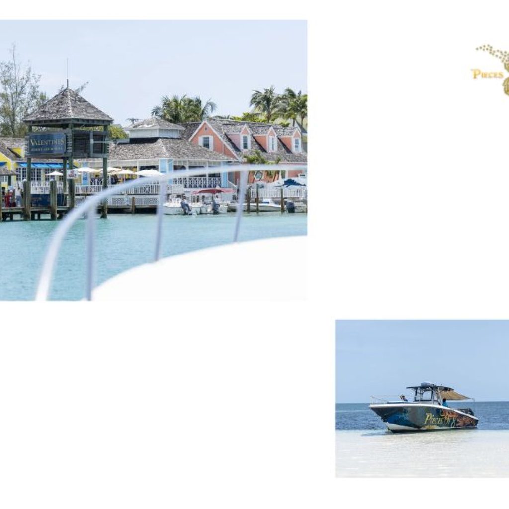 Experience an unforgettable Nassau water adventure with friendly pigs