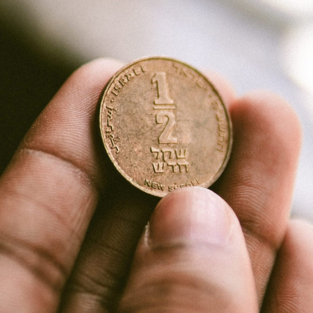 Investigation: Debunking a Scam Coin Claim with Glasshouse Lab Testing