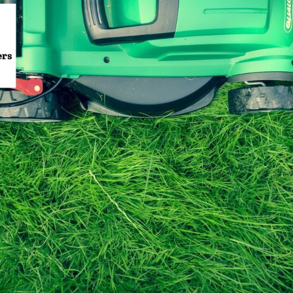 Expert Lawn and Garden Care for a Lush, Low-Muss Maintenance