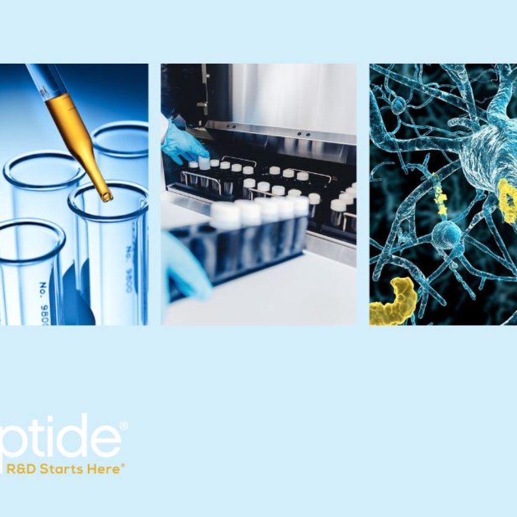 Insights into a key Alzheimer’s research peptide and its applications