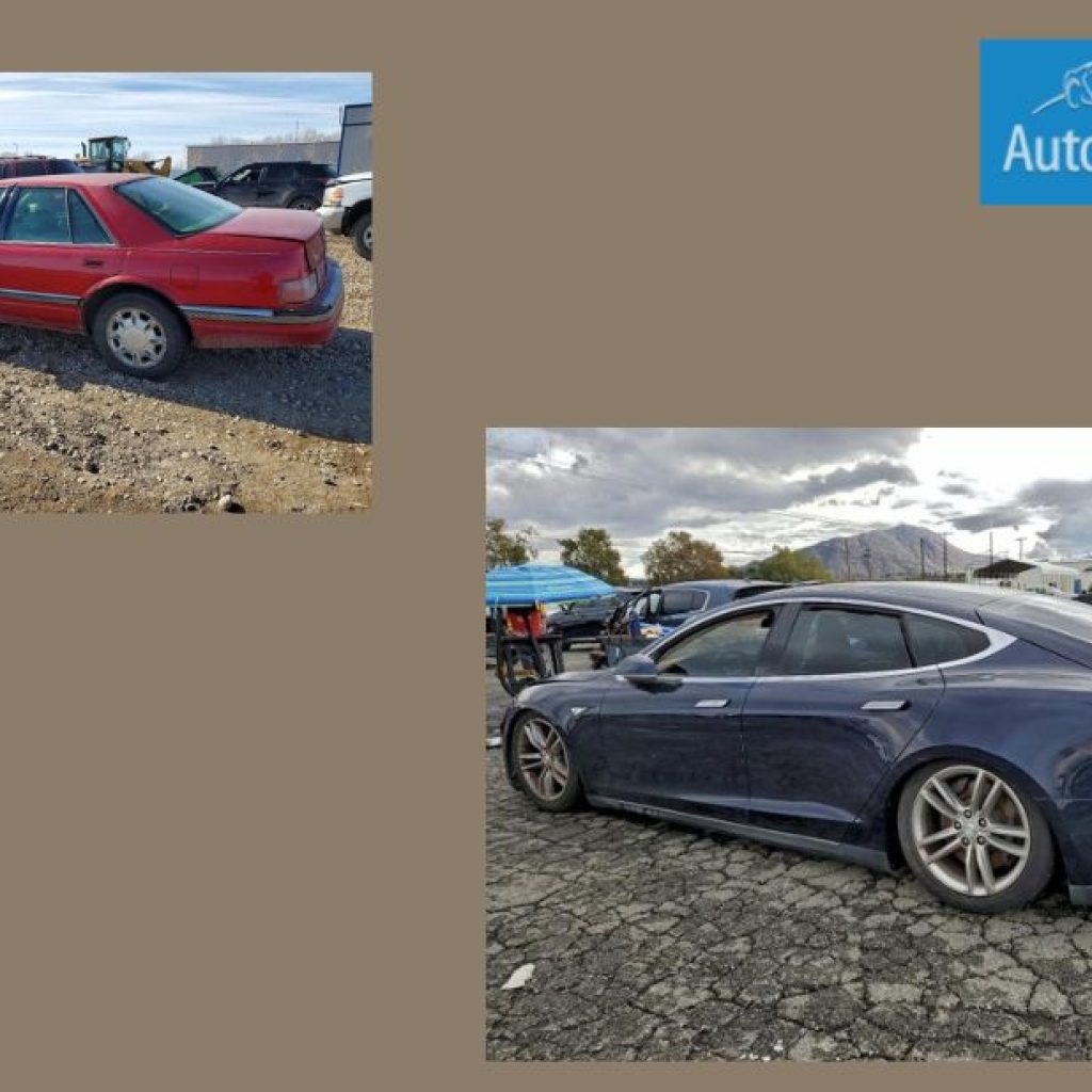 Effortless International Vehicle Shipping You Can Trust