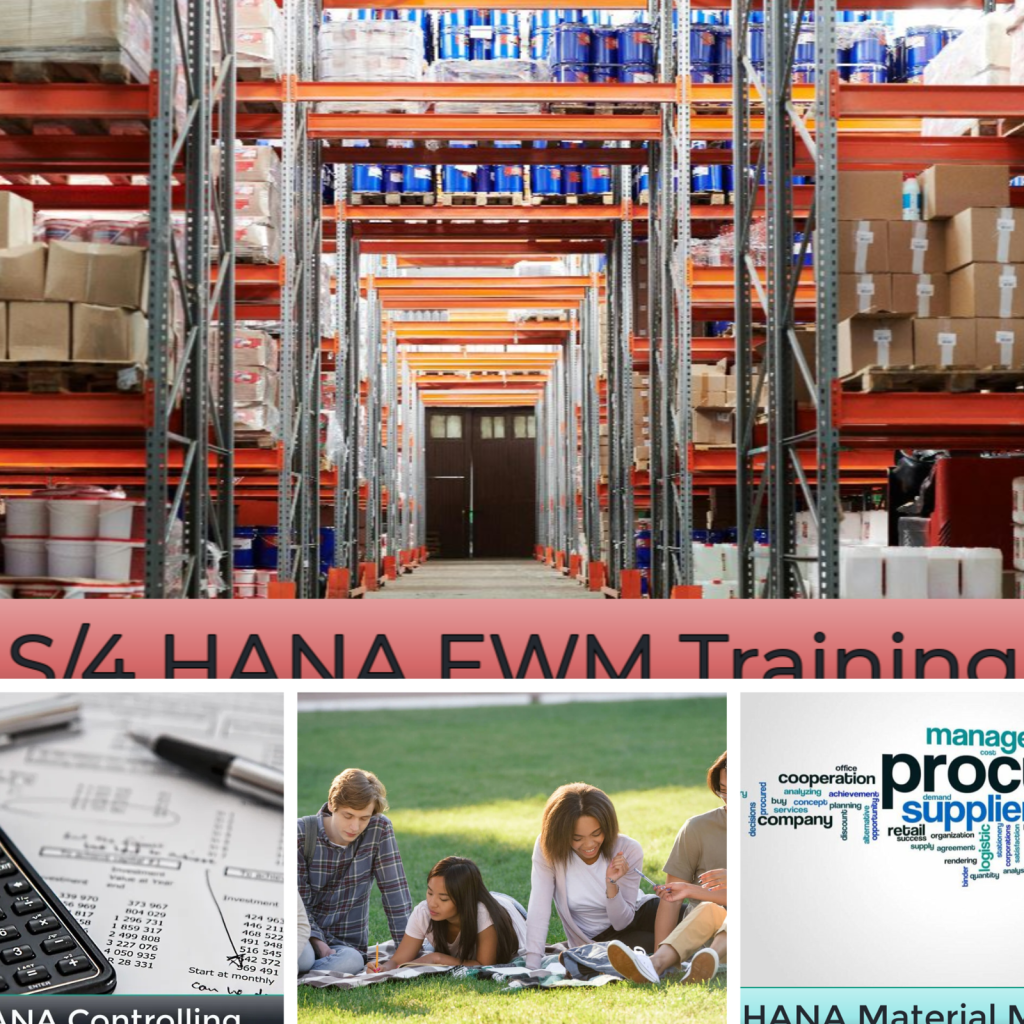 Master SAP ABAP: Practical Guide for Beginners and Pros