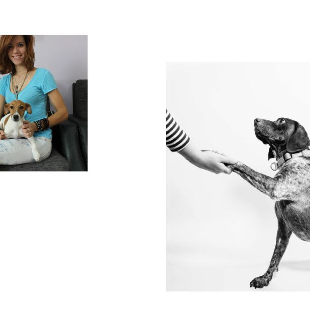 Urgent veterinary care in Qatar for pets in need