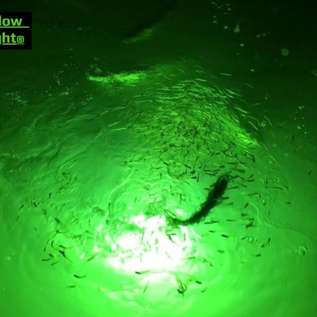 Illuminate the catch: premium subaquatic lights for night fishing