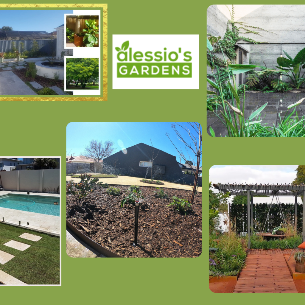 Create a Living Focal Point with a Stunning Wall Garden