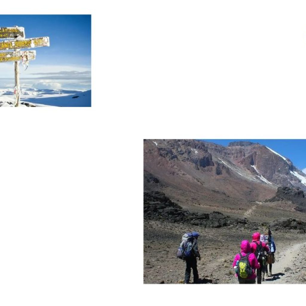 Discover Expert Kilimanjaro Adventures: All-Inclusive Trekking Options