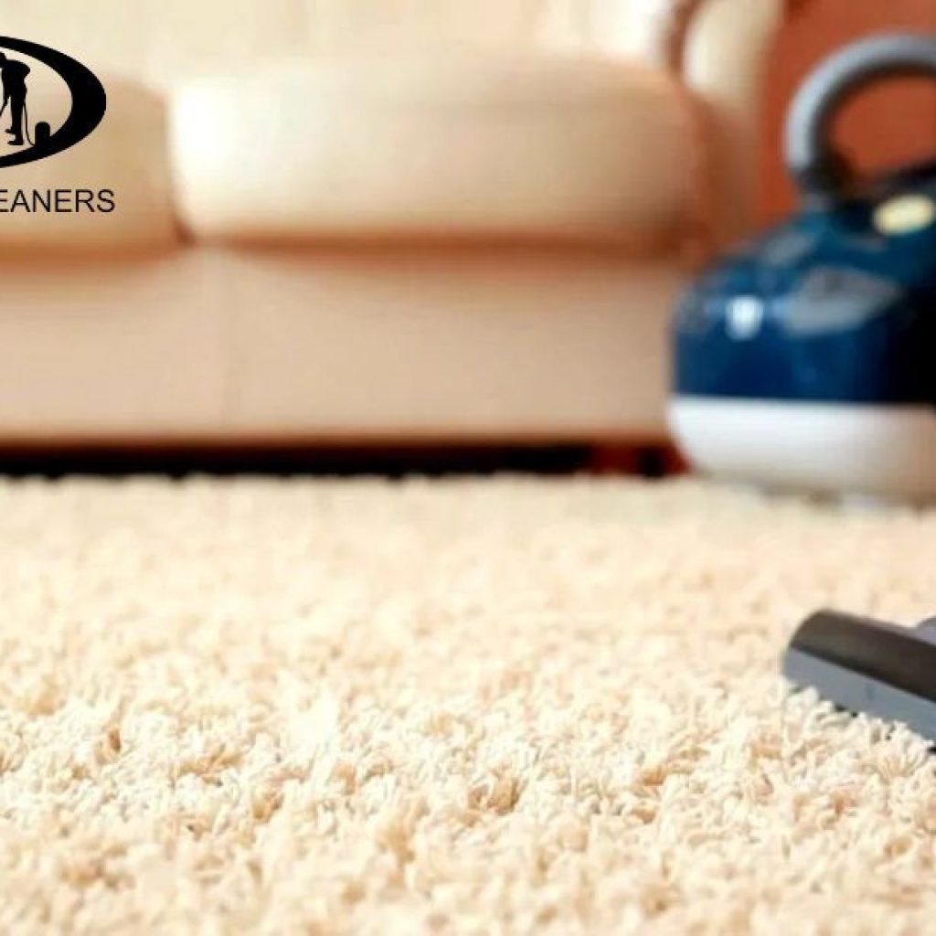 Refresh Your Home with Expert Carpet Care in the Magnolia State