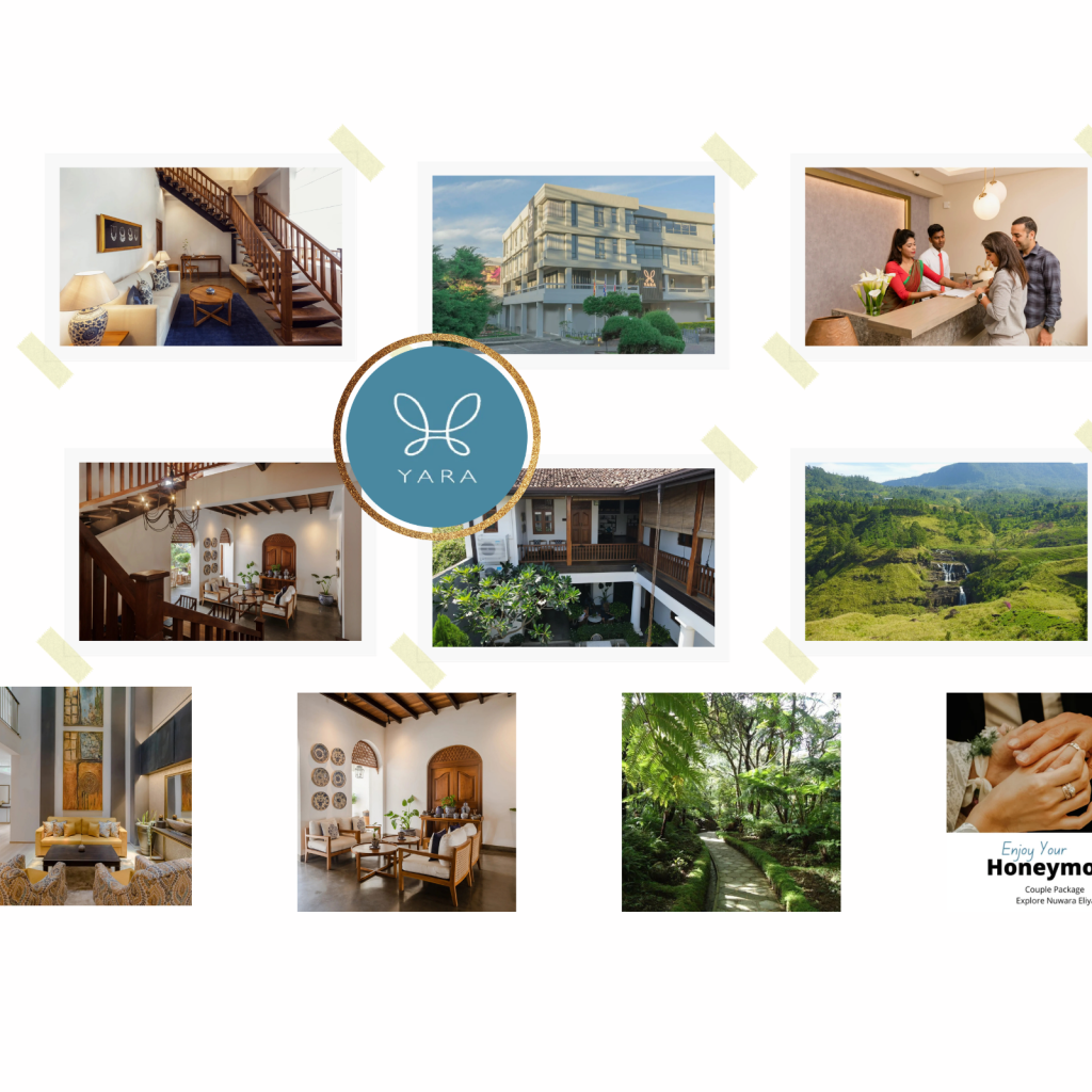 Discover Exclusive Island Stays at Great Value in Sri Lanka