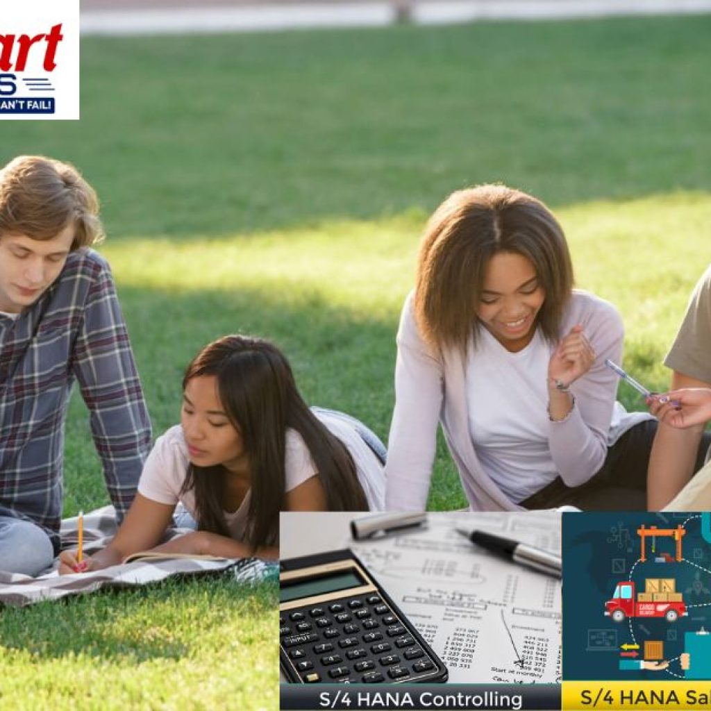 Mastering SAP S/4HANA Finance: A Practical Training Guide