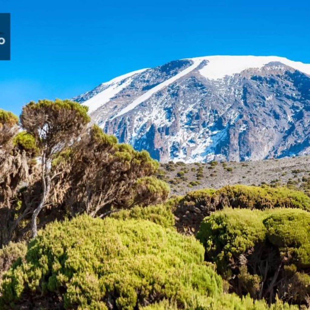 Plan Your Kilimanjaro Adventure: Booking Essentials and Tips