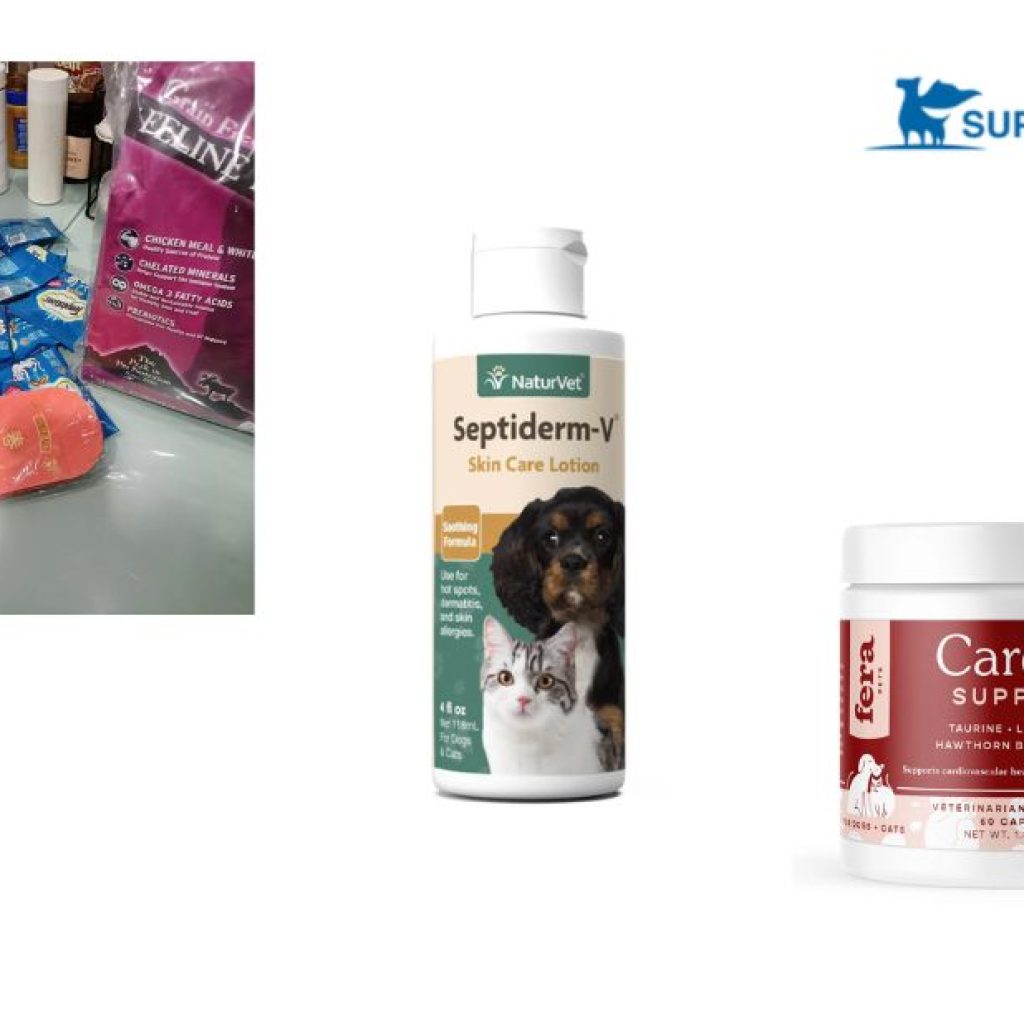 Discover a Primal, Grain-Free Diet for Your Dog