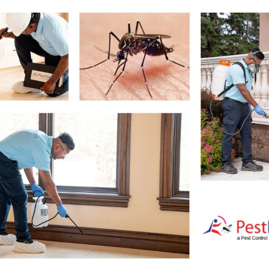 Reliable Pest Control for Homes and Businesses in Calgary
