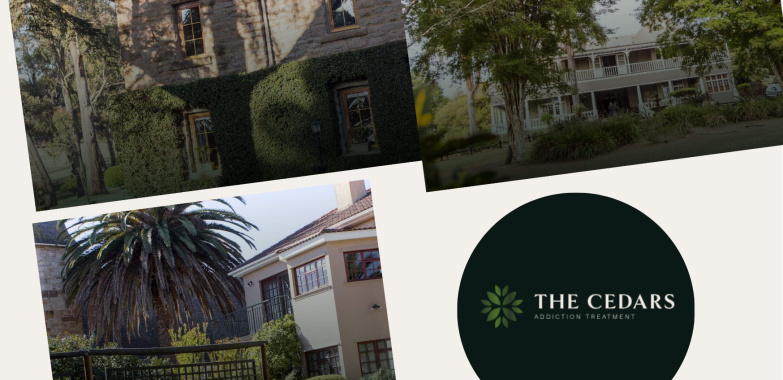 Trust-First Digital Marketing for Growth in Johannesburg